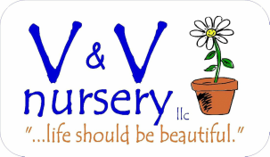 V&V Nursery Greenhouse & Garden Center